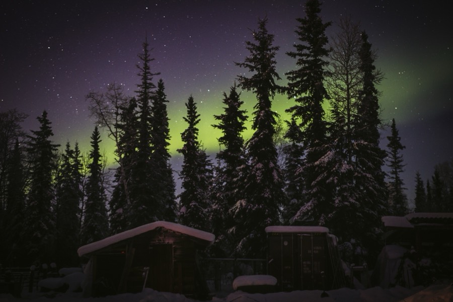 Aurora over snow-covered cabins and spruce trees in Fairbanks