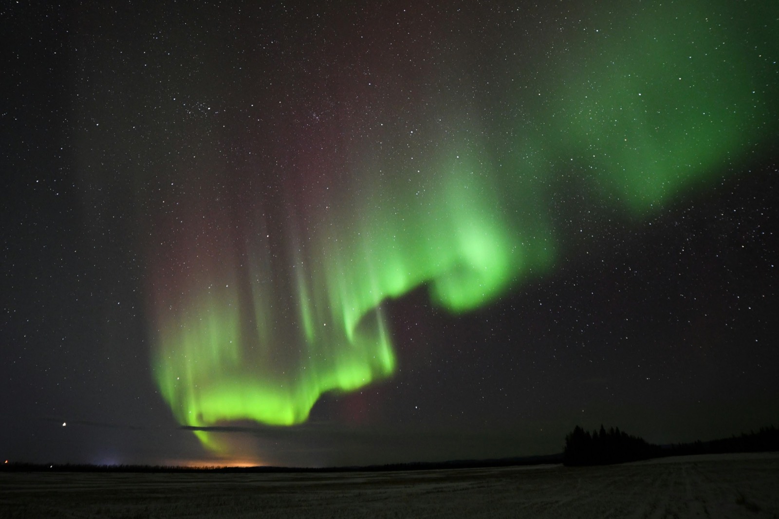 Green aurora curtains with purple tops rising over a dark, flat horizon near Fairbanks
