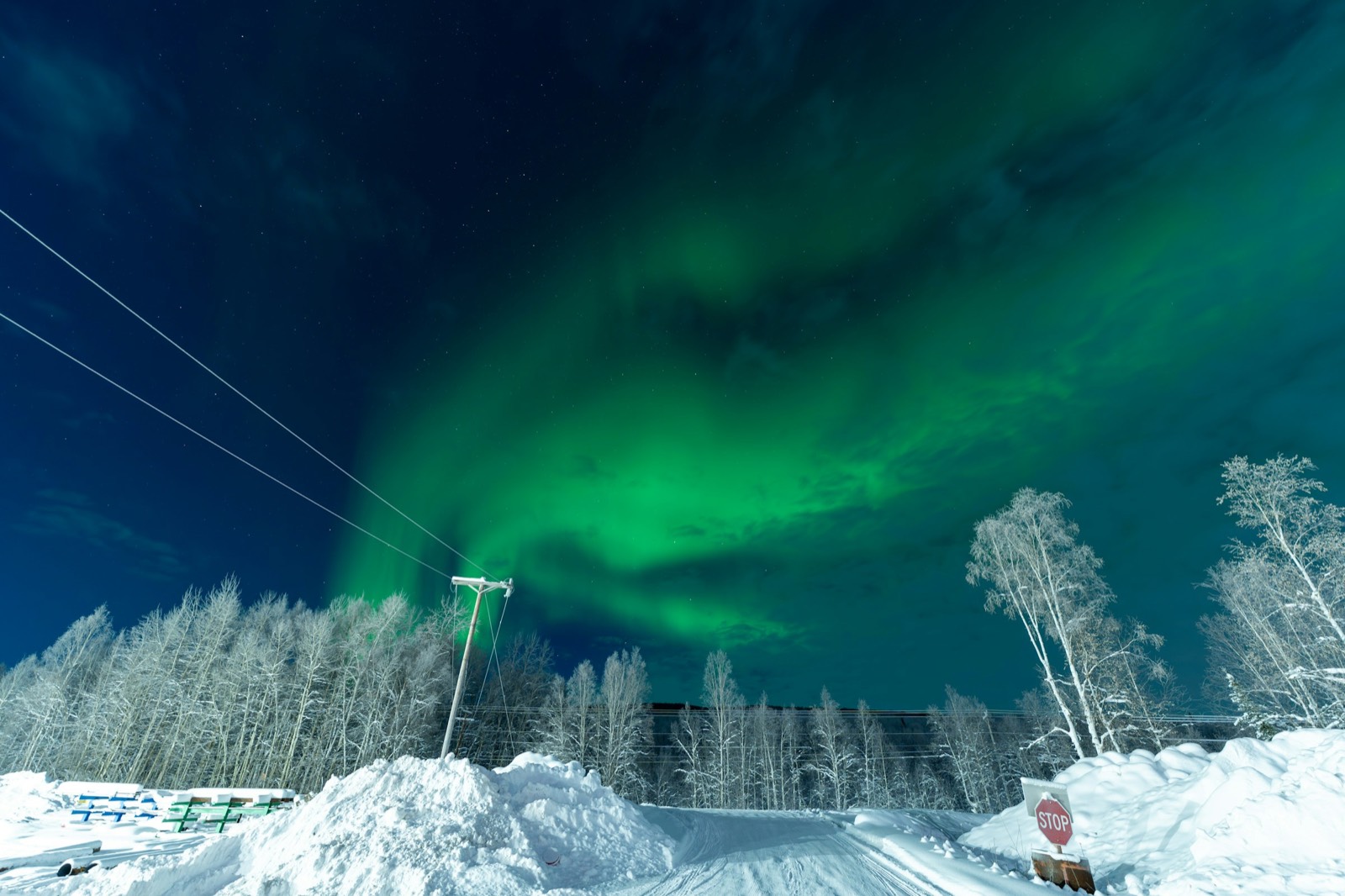 A green aurora arcing over a snow-banked road, power lines and frosted birch trees outside Fairbanks