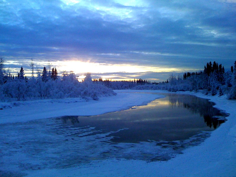 The partly frozen Chena River under a pale winter sky, its banks lined with frosted trees