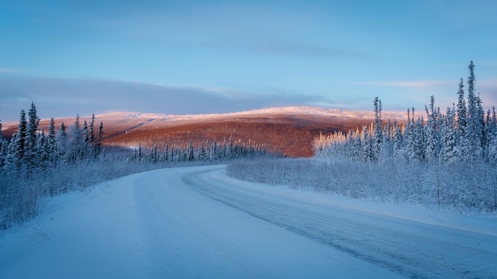 A snow-packed road curving through frosted spruce forest near Fairbanks, a hillside lit pink by low sun