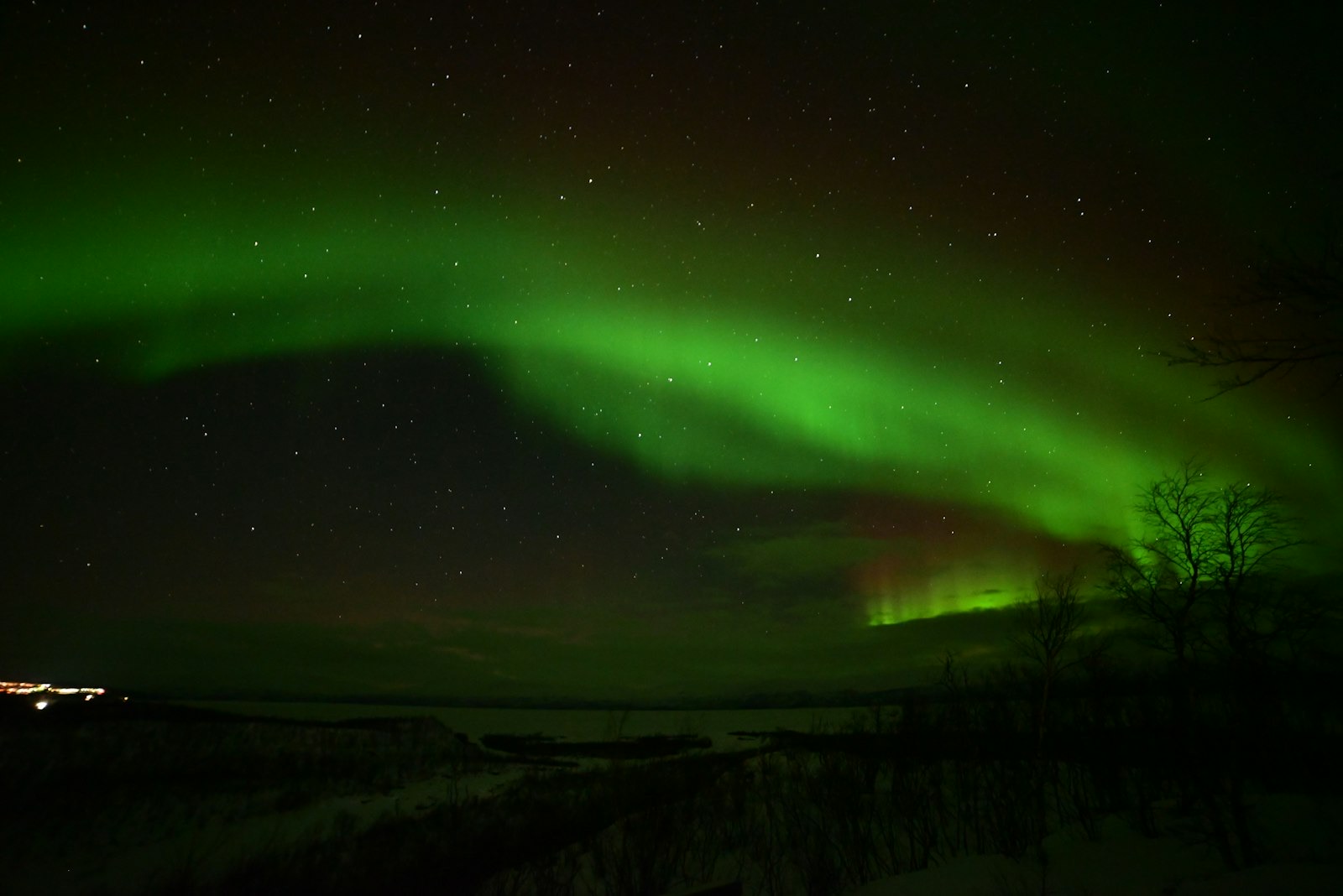 A bright green aurora arc across a clear, starry sky above the lake and birch scrub at Abisko