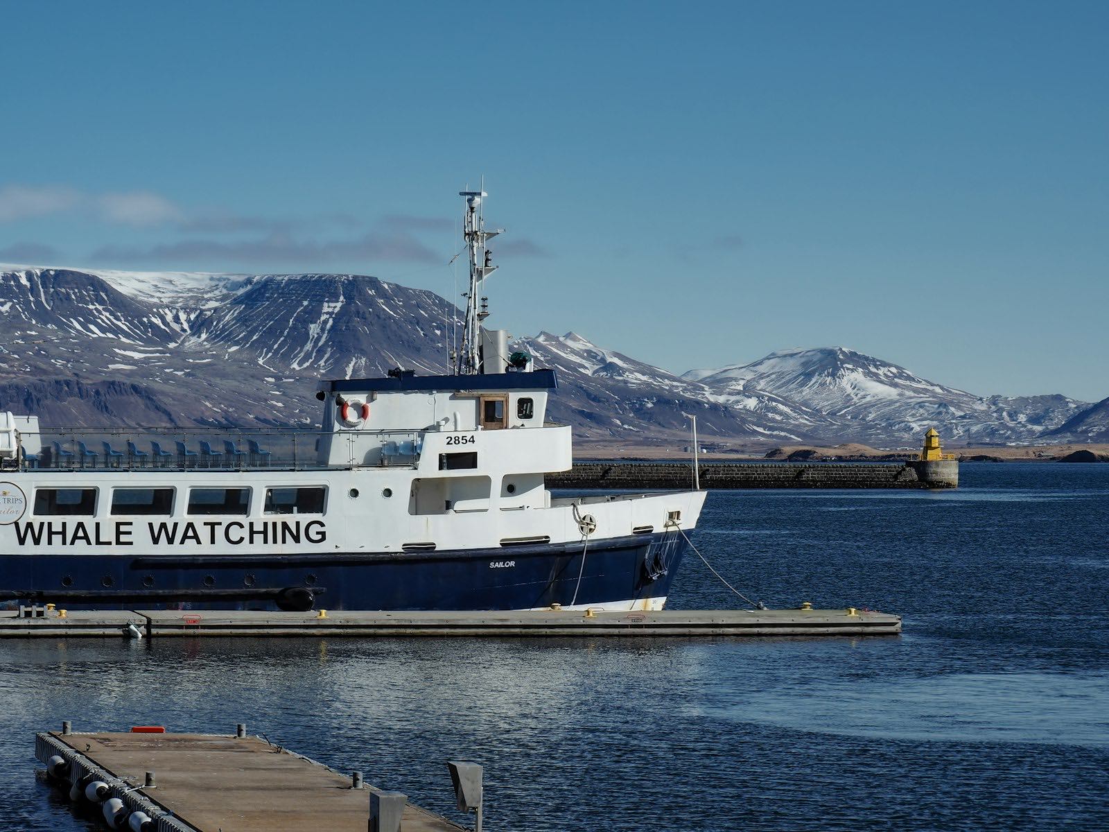 A blue and white whale-watching boat moored at a pontoon in Reykjavík's Old Harbour, with the yellow harbour-mouth light and snow-streaked mountains across the bay
