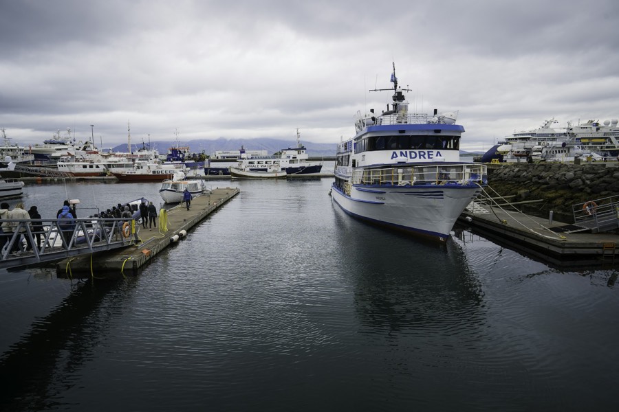 A white tour boat moored at the pontoons of Reykjavík's Old Harbour under a grey winter sky