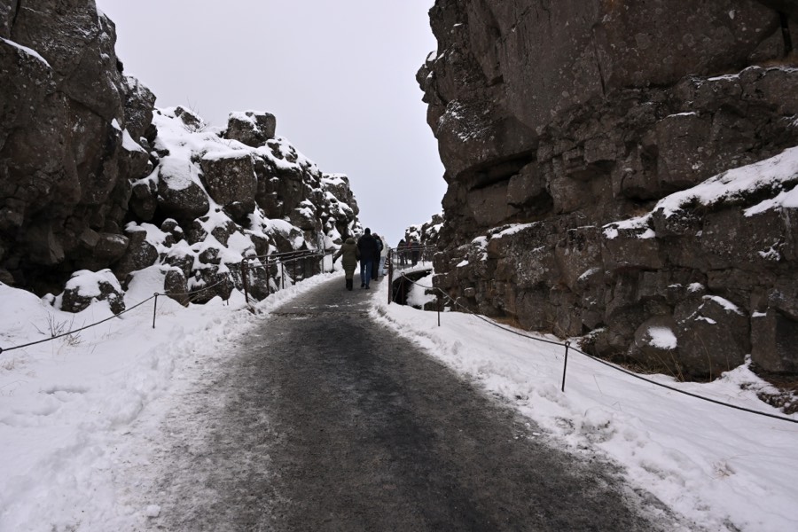 The snow-covered path through the Almannagjá rift between dark basalt walls at Þingvellir